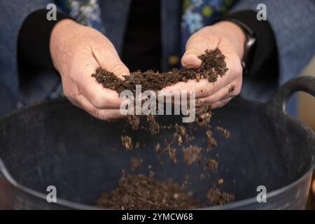 Jekka McVicar, Bio-Kräuteranbauer und Gartenbauautor, England, Großbritannien Stockfoto