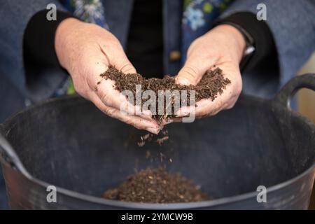 Jekka McVicar, Bio-Kräuteranbauer und Gartenbauautor, England, Großbritannien Stockfoto