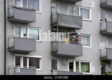 München, Deutschland. November 2024. Mietwohnung, Mietwohnung in München Giesing, Mietpreis, Mietobergrenze, Miete, Mieten, Apartment, Mieter, Fassade, Außenansicht, Gebäude, ? Quelle: dpa/Alamy Live News Stockfoto