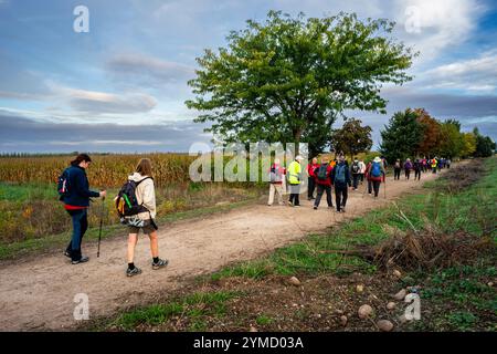 Pilger auf dem Jakobsweg, Mansilla de las Mulas, Autonome Gemeinschaft von Kastilien und Leon, Spanien Stockfoto