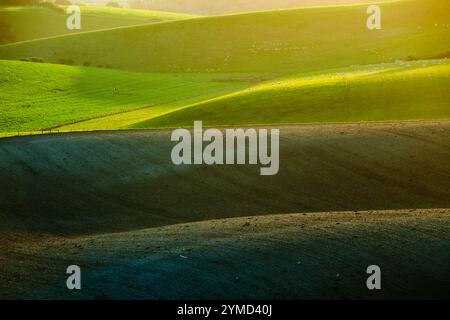 Herbstmorgen auf den South Downs in der Nähe von Shoreham, West Sussex, England. Stockfoto