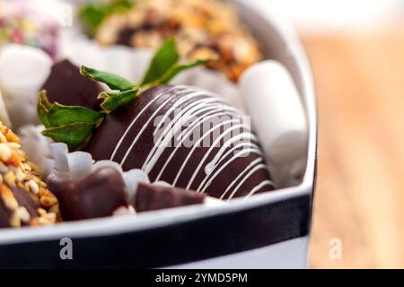 Dekadente Erdbeere mit Schokoladenüberzug mit weißer Glasur und leuchtend grünen Blättern. Umgeben von Marshmallows in einer eleganten Geschenkbox. Nahaufnahme Stockfoto