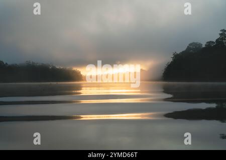 Am frühen Morgen mit Sonnenstrahlen im Nebel am Kinabatangan River in Sukau, Sabah, Borneo, Malaysia Stockfoto