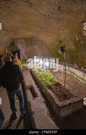 Neapel. Historisches Zentrum. Unterirdische Neapel. Aquädukt-Zisterne der griechisch-römischen Ära Stockfoto