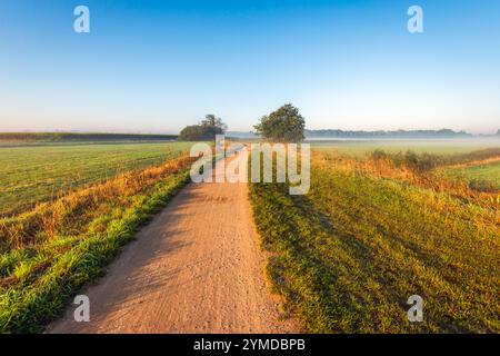 TERHEIJDEN - Ein schmaler, unbefestigter Weg schlängelt sich durch den Terheijden Binnenpolder. Es ist Herbst, die Sonne ist gerade aufgetaucht und der Nebel hängt immer noch über dem Feld. ANP- Hollandse Hoogte - Ruud Morijn niederlande Out - belgien Out Stockfoto