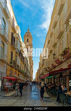 Straßenansicht, Kirche, Iglesia Capitular de El Sagrario, Nordturm Stockfoto