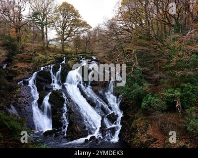 Swallow Falls, am Fluss Llugwy, dem höchsten durchgehenden Wasserfall in Wales, direkt außerhalb des Dorfes Betws-y-Coed, an einem langweiligen Herbsttag. Stockfoto