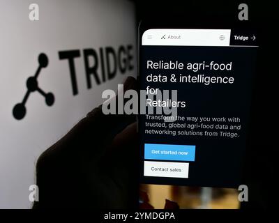 In dieser Fotoabbildung hält eine Person ein Smartphone mit der Webseite des südkoreanischen Landwirtschafts-Plattformunternehmens Tridge Co. Ltd. Mit Logo. Stockfoto