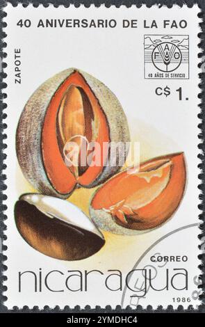 Gestempelte Briefmarke von Nicaragua, die Zapote, FAO, 40. Jahrestag, ca. 1986 zeigt. Stockfoto