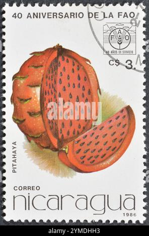 Gestempelte Briefmarke von Nicaragua, die Pitahaya, FAO, 40. Jahrestag, ca. 1986 zeigt. Stockfoto