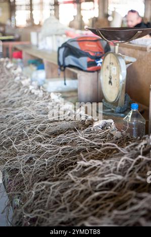 Sigatoka, Viti Levu, Fidschi, Melanesien, Oceana Stockfoto