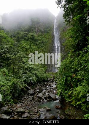 2 Wasserfall Rutsche du carbet in basse Terre, guadeloupe, im Nebel Stockfoto