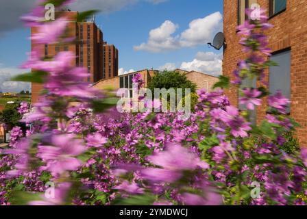 Clays Lane Gemeindezentrum und verschlossene Wohnungen. Templars House Turmblock, Studentenwohnheim der University of East London. Stratford, East London, der Ort des Lower Lea Valley, an dem die Olympischen Spiele 2012 in London stattfinden, am 25. Juli 2007. 2000sUK HOMER SYKES Stockfoto