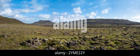 Landschaften rund um Island auf der Ringstraße. Winterzeit. Stockfoto