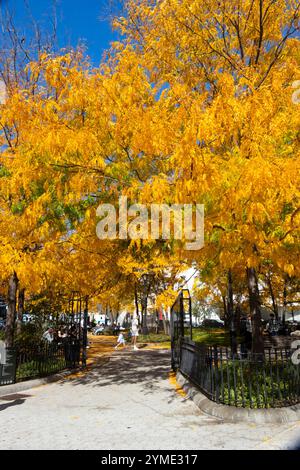 Central Park Park mit lebhaftem goldenem Herbstlaub unter dem klaren blauen Himmel New york City Stockfoto