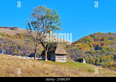 Alte Hütte in herbstlicher Landschaft in den Karpaten Rumäniens, Dumesti, Alba in Transsilvanien Stockfoto