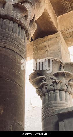 Philae Tempel in Assuan, Ägypten Stockfoto