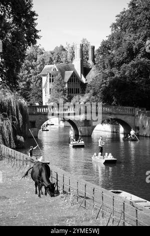 CAMBRIDGE, Großbritannien - 16. AUGUST 2017: Touristen genießen das Klettern auf den Rückseiten der Colleges entlang der River Cam Banks in Cambridge. Schwarzweißfoto. Stockfoto