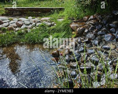 Ein kleiner Wasserstrom fließt zwischen zwei Felsen. Die Felsen sind groß und das Wasser ist klar. Die Szene ist friedlich und ruhig Stockfoto