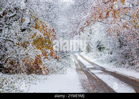 Im Frühwinterschnee im November auf einer Straße in der Nähe des Dorfes Cotswold Taddington, Gloucestershire, England, Großbritannien Stockfoto