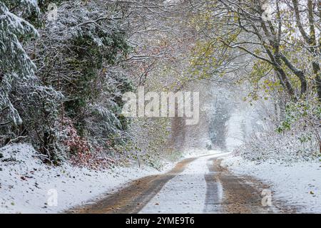 Im Frühwinterschnee im November auf einer Landstraße in der Nähe des Dorfes Cotswold Taddington, Gloucestershire, England, Großbritannien Stockfoto