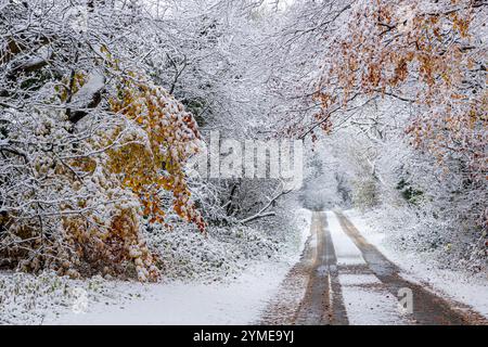 Im Frühwinterschnee im November auf einer Landstraße in der Nähe des Dorfes Cotswold Taddington, Gloucestershire, England, Großbritannien Stockfoto