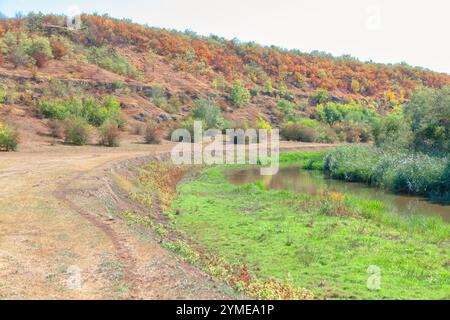 Landschaft mit einem sanft abfallenden Hügel, bedeckt mit einer Mischung aus grünem und herbstfarbenem Laub. Im Vordergrund befindet sich ein gewundener Schmutzpfad Stockfoto