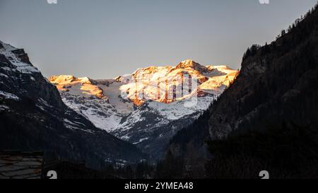 Blick auf das königliche Schloss Savoyen, Italien. Stockfoto