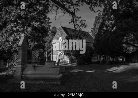 Schwaches Licht von der Herbstsonne erzeugt einen starken Kontrast von Licht und Schatten auf dem Old Cemetery auf dem Common, Southampton, Hampshire, England, Großbritannien Stockfoto