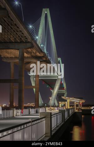 Arthur Ravenel Bridge vom Mt. Angenehmer Fußgängersteg Stockfoto