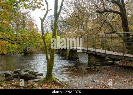 Fußbrücke über den Fluss Rothay bei White Moss Walks, landschaftlich reizvollem Walderholungsgebiet in Ambleside, Lake District National Park Stockfoto