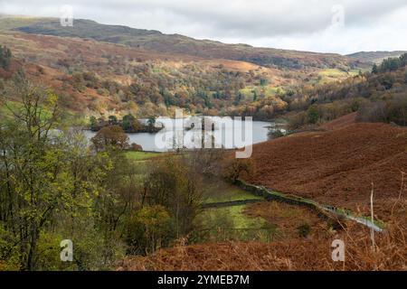 Rydal Water von Loughrigg Terrace, Lake District, Engalnd Stockfoto