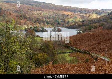 Rydal Water von Loughrigg Terrace, Lake District, Engalnd Stockfoto