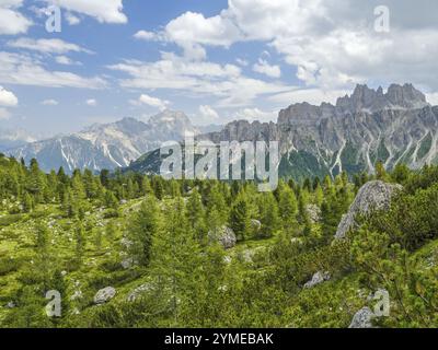 Auf dem Weg zur Cinque Torri, Blick auf die umliegenden Berge, Dolomiten, Cortina d'Ampezzo, Belluno, Veneto, Italien, Europa Stockfoto