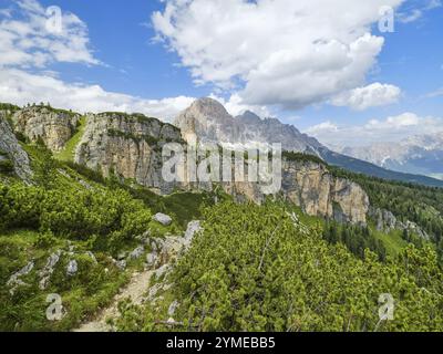 Auf dem Weg zur Cinque Torri, Blick auf die Fanesgruppe, Tofana di Rozes, Dolomiten, Cortina d'Ampezzo, Belluno, Veneto, Italien, Europa Stockfoto