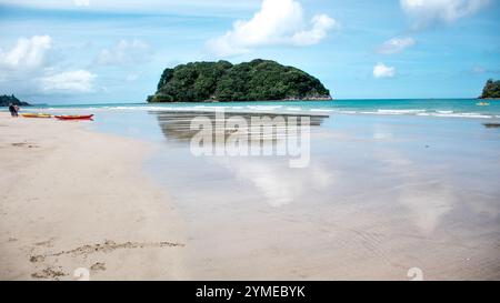 Landschaften rund um die Coromandel-Halbinsel und Tauranga, Nordinsel, Neuseeland. Stockfoto