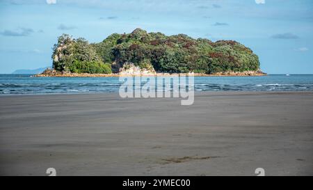 Landschaften rund um die Coromandel-Halbinsel und Tauranga, Nordinsel, Neuseeland. Stockfoto