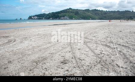 Landschaften rund um die Coromandel-Halbinsel und Tauranga, Nordinsel, Neuseeland. Stockfoto