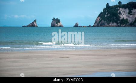 Landschaften rund um die Coromandel-Halbinsel und Tauranga, Nordinsel, Neuseeland. Stockfoto