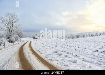 Verschneite Winterstraße in ländlicher Landschaft mit Schnee und Frost und einer roten Scheune im ländlichen Schweden Stockfoto