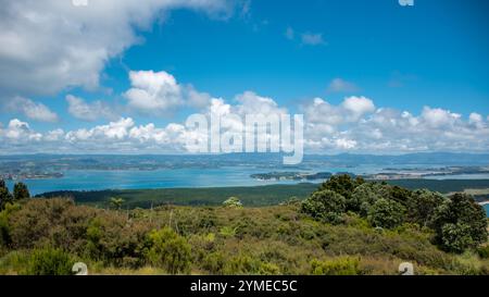 Landschaften rund um die Coromandel-Halbinsel und Tauranga, Nordinsel, Neuseeland. Stockfoto