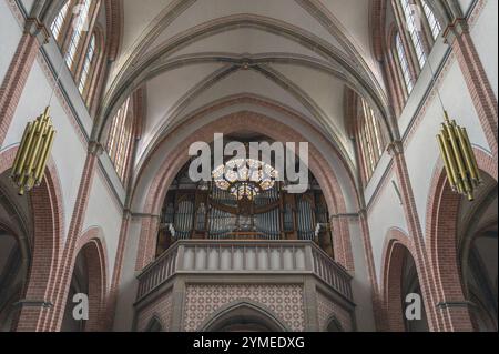 Orgelloft der neogotischen Pfarrkirche Bregenz-Herz Jesu, 1906 geweiht, Bregenz, Baden-Württemberg, Deutschland Europa Stockfoto