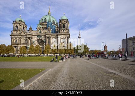 Berliner Dom und Fernsehturm, Berlin, Hauptstadt, unabhängige Stadt, Bundesland Berlin, Deutschland, Europa Stockfoto