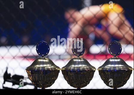 Becher stehen vor dem Ring, wo der Kampf stattfindet Stockfoto