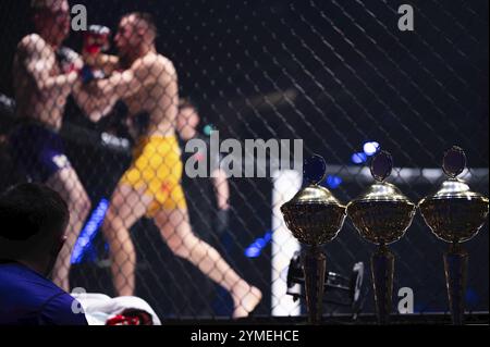 Becher stehen vor dem Ring, wo der Kampf stattfindet Stockfoto