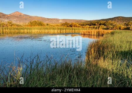 Mono Hot Springs; Eastern High Sierras; Mono County; Dawn; Kalifornien Stockfoto