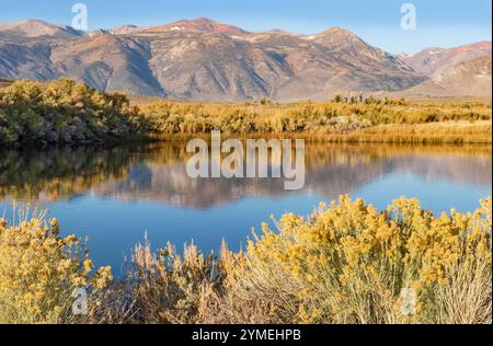 Mono Hot Springs; Eastern High Sierras; Mono County; Dawn; Kalifornien Stockfoto