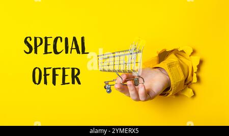 Halten Sie einen Warenkorb mit den Worten „Sonderangebot“ darunter Stockfoto