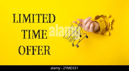 Hand hält einen Warenkorb mit den Worten „zeitlich begrenztes Angebot“ darunter. Das Bild hat eine verspielte und lustige Stimmung, da es eine kreative Art ist, zu adve zu werden Stockfoto