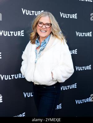 Hollywood, Usa. November 2024. Das Vulture Festival ist eine Popkultur-Feier mit TV, Filmen und Unterhaltung, die persönliche Panels mit einigen Ihrer Lieblingsstars vereint. Hollywood, CA, USA, am 15. November 2024. (Foto: Alexander G. Seyum/Pacific Press/SIPA USA) Credit: SIPA USA/Alamy Live News Stockfoto